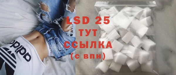 PSILOCYBIN Баксан