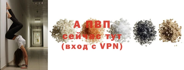 амф Сосновый Бор