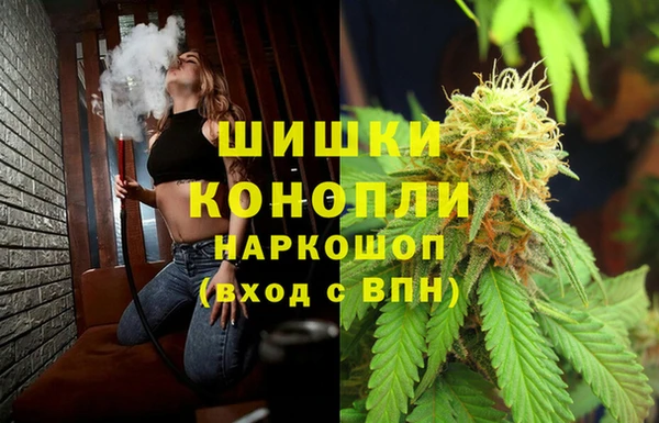 PSILOCYBIN Баксан